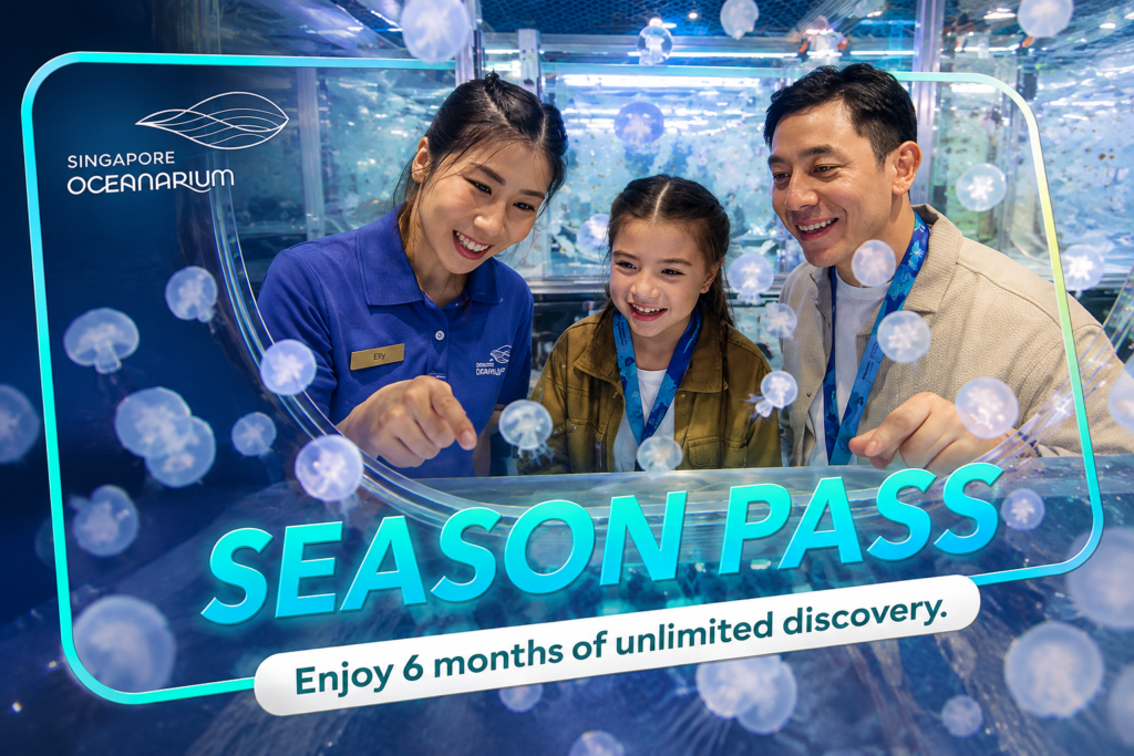 Sea Jellies experience at Singapore Oceanarium
